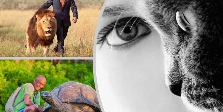 Личностен тест „В света на животните“: на кого приличате по характер?