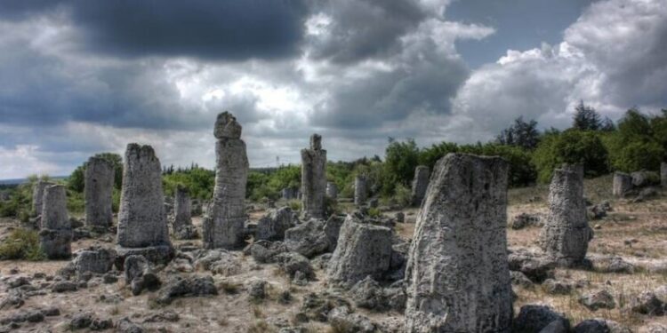 Как Каменната гора се появява в България?