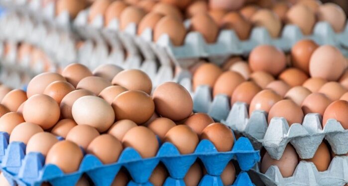 По данни на птицевъдите, въпреки поскъпването на яйцата, в България са най-евтини!