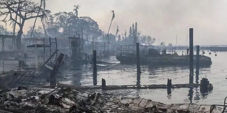 Адът на пламъците: Горски пожари в Хавай разрушават всичко на пътя си