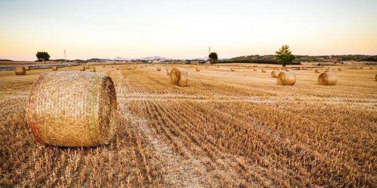 Народни знаци за 10 юли 2024 г.: какво можете и какво не можете да правите на този ден Народни знаци за 10 юли 2024 г.: какво можете и какво не можете да правите на този ден
