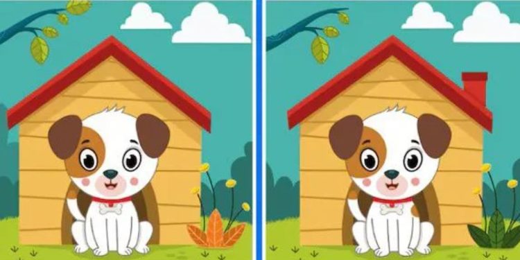 Покажете своята интелигентност, като намерите 5 разлики в тази картинка