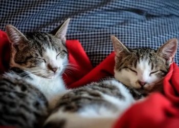 Три знака на зодиака, които ще имат промяна в началото на август