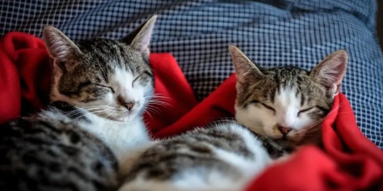 Три знака на зодиака, които ще имат промяна в началото на август