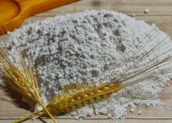 Защо да съхранявате брашно в хладилника: първо ще се изненадате, а след това винаги ще го правите по този начин