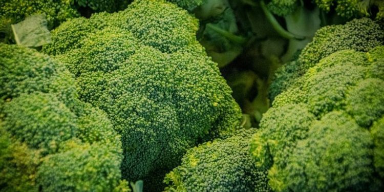 Ето какво ще се случи с тялото ви, ако ядете броколи всеки ден Ето какво ще се случи с тялото ви, ако ядете броколи всеки ден