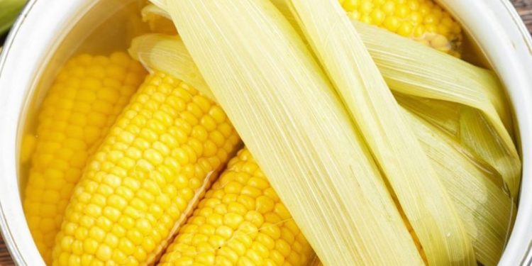 Как да сготвите вкусна царевица за 5 минути: лайфхак за тези, които не искат да прекарват много време в кухнята Как да сготвите вкусна царевица за 5 минути: лайфхак за тези, които не искат да прекарват много време в кухнята