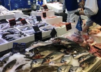 На Черноморието цената на рибата стигна до небето