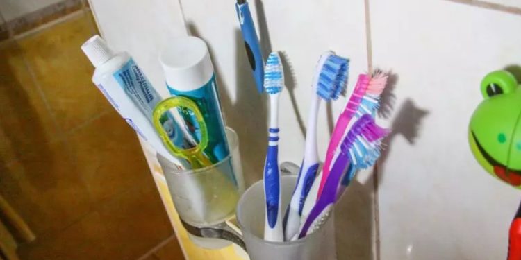 Колко често трябва да сменяте четката си за зъби: 90% от хората я използват твърде дълго – запомнете едно просто правило