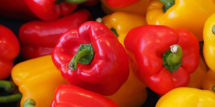 Ето с какво трябва да подхраните чушките, за да станат големи и сочни Ето с какво трябва да подхраните чушките, за да станат големи и сочни