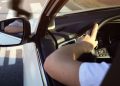 Ето какви документи ще ви трябват, ако пътувате с чужд автомобил зад граница Ето какви документи ще ви трябват, ако пътувате с чужд автомобил зад граница