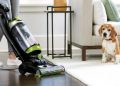 Колко често трябва да почиствате с прахосмукачка, ако имате домашни любимци: