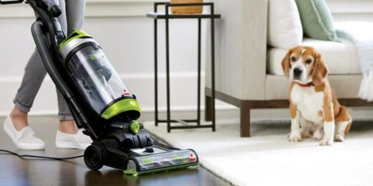 Колко често трябва да почиствате с прахосмукачка, ако имате домашни любимци: