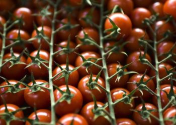 Интересен трик, с който ще запазите свежестта и сочността на доматите