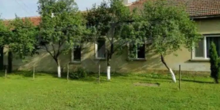 Назовано е дървото, което трябва да бъде в двора на всяка къща – НОСИ щастие, хармония и пари в дома! Назовано е дървото, което трябва да бъде в двора на всяка къща – НОСИ щастие, хармония и пари в дома!