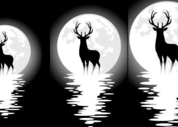 Еленско пълнолуние на 21 юли, всичко за него и какво трябва да се знае