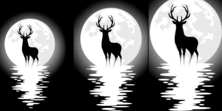 Еленско пълнолуние на 21 юли, всичко за него и какво трябва да се знае