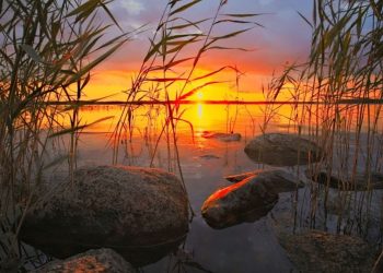 Хороскоп за събота 6 юли за всички знаци на зодиака