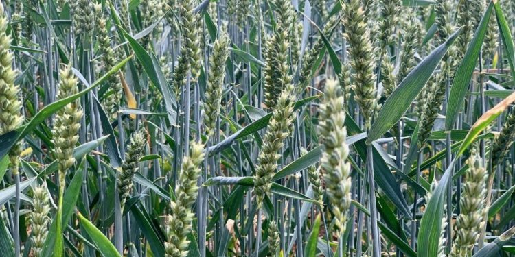 Хороскоп за 4 юли за всички знаци на зодиака Хороскоп за 4 юли за всички знаци на зодиака