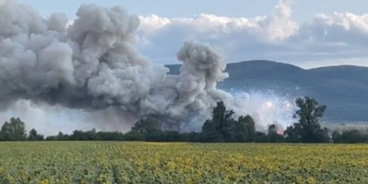 Кметът на Елин Пелин бие тревога: ето защо Кметът на Елин Пелин бие тревога: ето защо