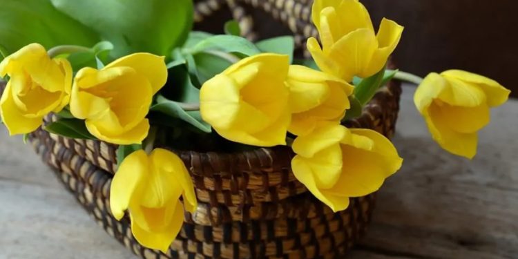 Какво ще стане, ако подарите жълти цветя на някой човек:
