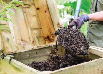Ето как да си направите свой собствен компост в домашни условия