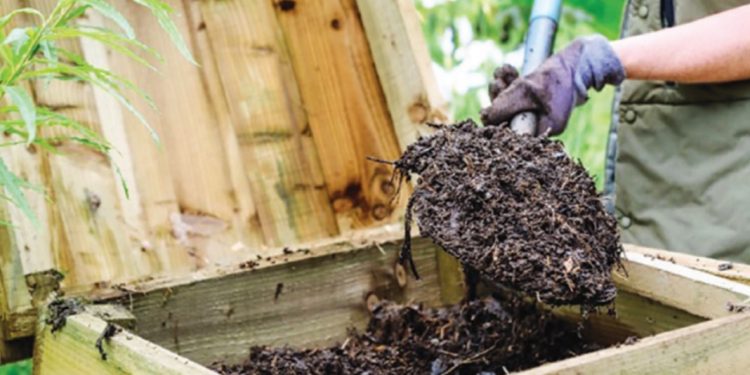 Ето как да си направите свой собствен компост в домашни условия