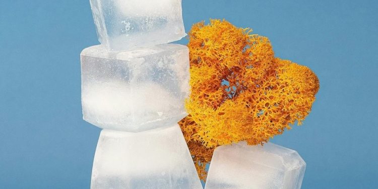 Защо трябва да натриете лицето си с лед? Малцина знаят причината Защо трябва да натриете лицето си с лед? Малцина знаят причината