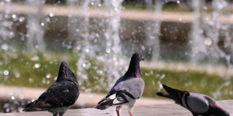 НИМХ каза, кога идва жадуваното от цялата страна разхлаждане НИМХ каза, кога идва жадуваното от цялата страна разхлаждане