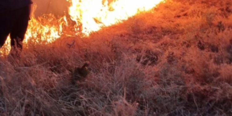 В Гърция пожар избухна на остров, който е предпочитан от много българи В Гърция пожар избухна на остров, който е предпочитан от много българи