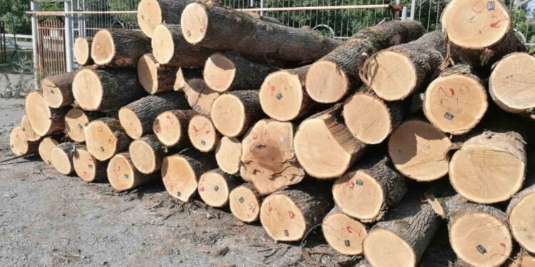 От днешна дата започва приемът на заявления-декларации за отпускане на целева помощ за отопление От днешна дата започва приемът на заявления-декларации за отпускане на целева помощ за отопление