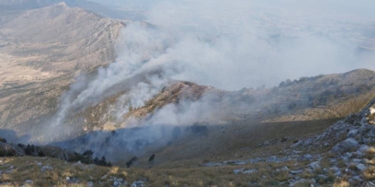 От последните минути! Пожарът в Гърция не е овладян и е все по-близо до границата ни