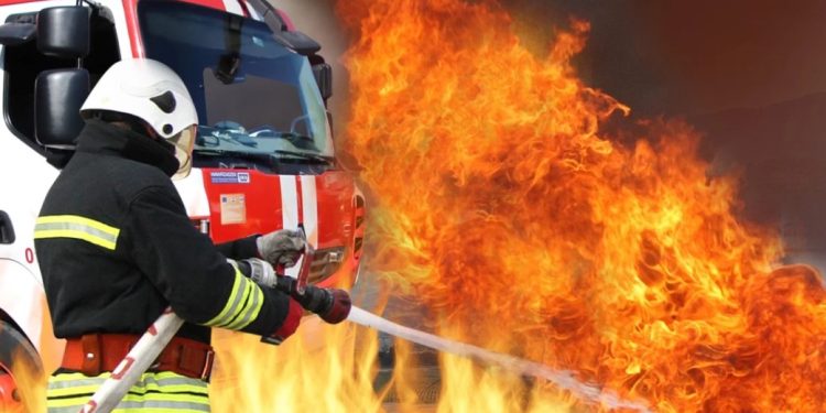 Пореден пожар пламна в Кюстендилско Пореден пожар пламна в Кюстендилско