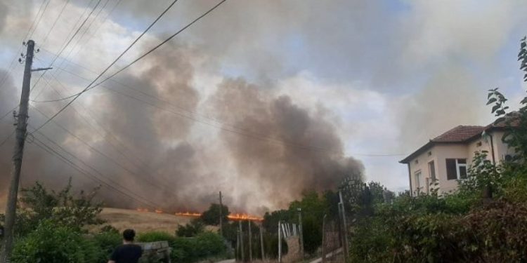 В село Ореш огънят стигна до къщите на хората В село Ореш огънят стигна до къщите на хората