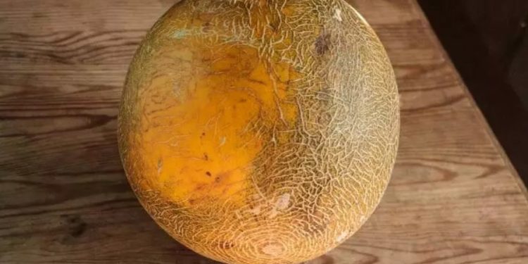 Как да поддържаме красив тен с храни: ето какво да ядем