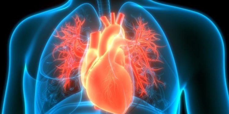 Лекар каза, как да подобрим здравето на сърдечно-съдовата система: