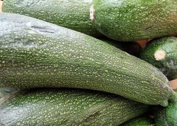 Просто настържете тиквичките и добавете яйцата: толкова е вкусно, че ще го правите всеки ден