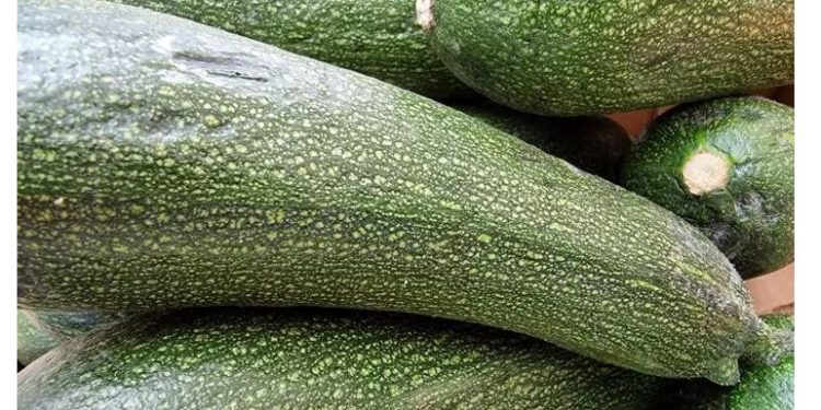 Просто настържете тиквичките и добавете яйцата: толкова е вкусно, че ще го правите всеки ден