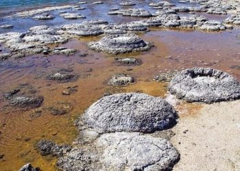 Ново проучване показа, кога всъщност е започнал животът на Земята