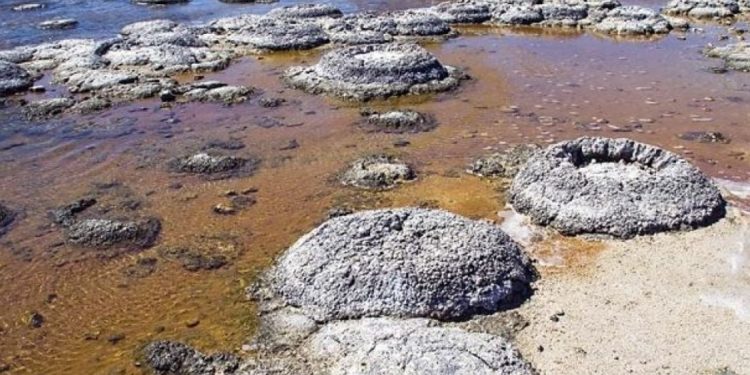 Ново проучване показа, кога всъщност е започнал животът на Земята