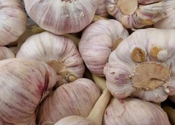 Как да си направим вкусно чесново масло за сандвичи: страхотна рецепта