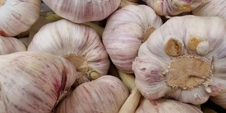 Как да си направим вкусно чесново масло за сандвичи: страхотна рецепта Как да си направим вкусно чесново масло за сандвичи: страхотна рецепта