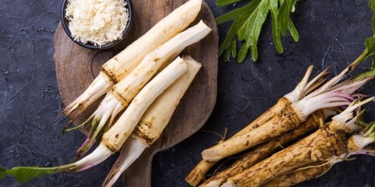 Народен лек за всичко: какви са ползите от хрянa за здравето?