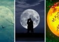 Изберете луна и разберете какво ще ви донесе месец август