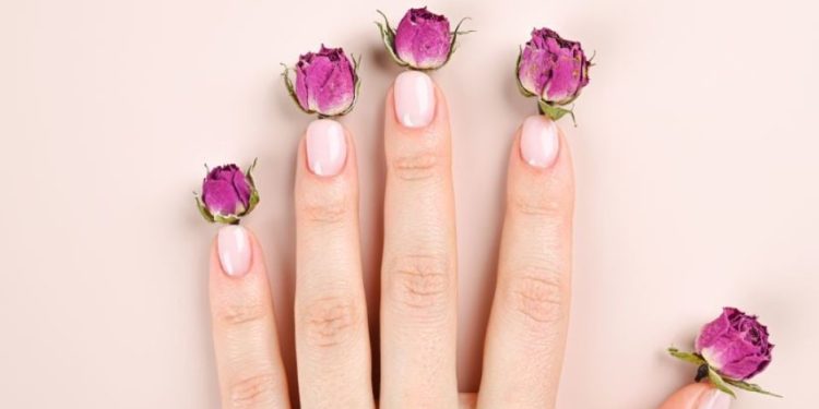 Маникюр за август 2024: топ 5 модерни идеи за всяка жена Маникюр за август 2024: топ 5 модерни идеи за всяка жена