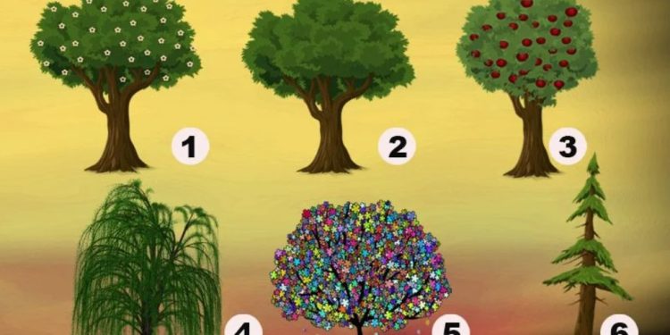 Тестът ще покаже как ви виждат и какво мислят другите за вас: изберете едно дърво от снимката и разберете Тестът ще покаже как ви виждат и какво мислят другите за вас: изберете едно дърво от снимката и разберете