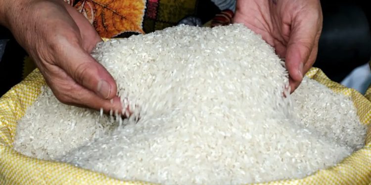 Вижте кой е най-скъпият ориз и от къде идва Вижте кой е най-скъпият ориз и от къде идва