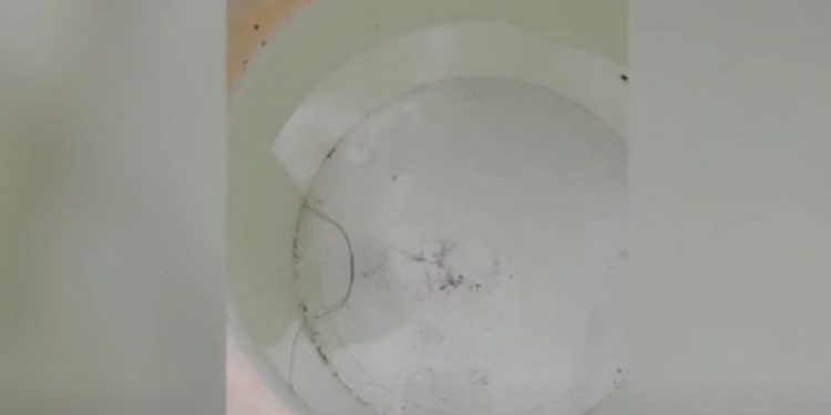 В българско село откриха паразит във водата