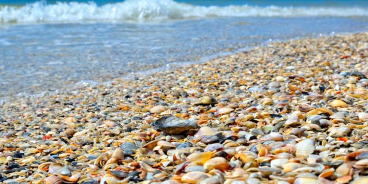 Ново 20! Предложение свързано с ваучерите за почивка у нас