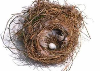 В Топ европейски курорт млад турист изгуби живота си заради птиче гнездо